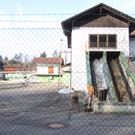 IMG_2846_neu.jpg