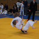 DSC03203_jpg-1297702412