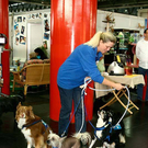 20091129_Haustiermesse_0315.jpg