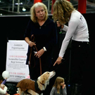 20091129_Haustiermesse_0352.jpg
