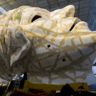 PHIL0080.jpg