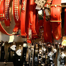 20091129_Haustiermesse_0367.jpg