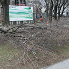 Baumf__llung-006.jpg