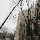 Baumf__llung-007.jpg