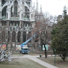 Baumf__llung-013.jpg