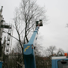 Baumf__llung-014.jpg