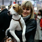 20091129_Haustiermesse_0395.jpg