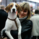20091129_Haustiermesse_0397.jpg