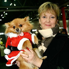 20091129_Haustiermesse_0410.jpg