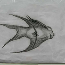 20091129_Haustiermesse_0439.jpg