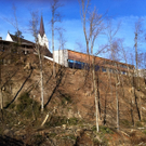 IMG_0217_JPG-1297789794
