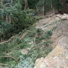 Wanderwege am Pfänder immer noch gesperrt