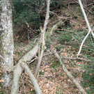 IMG_8989.jpg