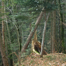 IMG_8991.jpg