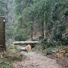 IMG_8980.jpg