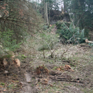 IMG_8978.jpg