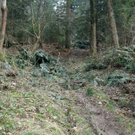 IMG_8975.jpg
