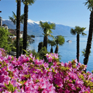 06_05_lago_maggiore_jpg-1297857363