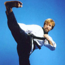 roundhouse-kick-chuck-norri.jpg