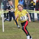 Crosslauf 