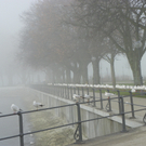 108_7709_jpg-1297897313