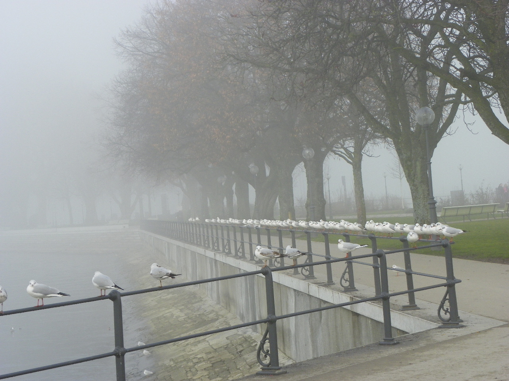 108_7709_jpg-1297897313