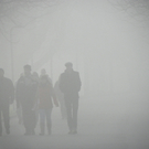 108_7728_jpg-1297897380