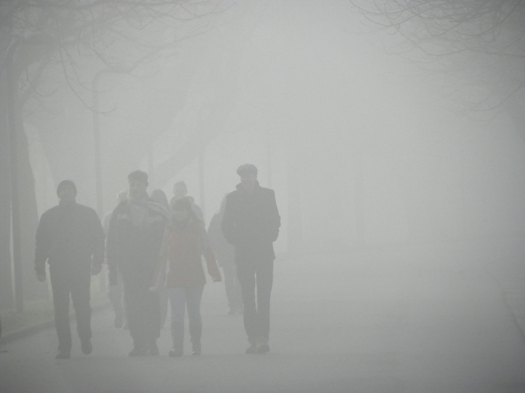 108_7728_jpg-1297897380