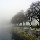 108_7719_jpg-1297897341