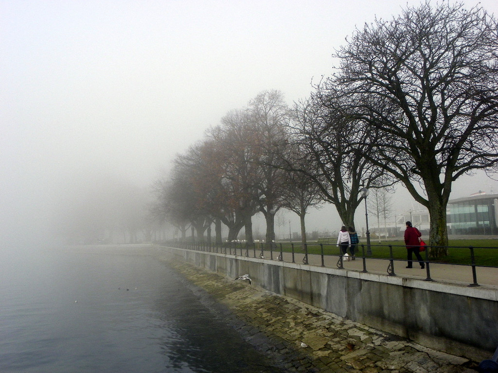 108_7719_jpg-1297897341