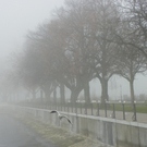 108_7718_jpg-1297897334