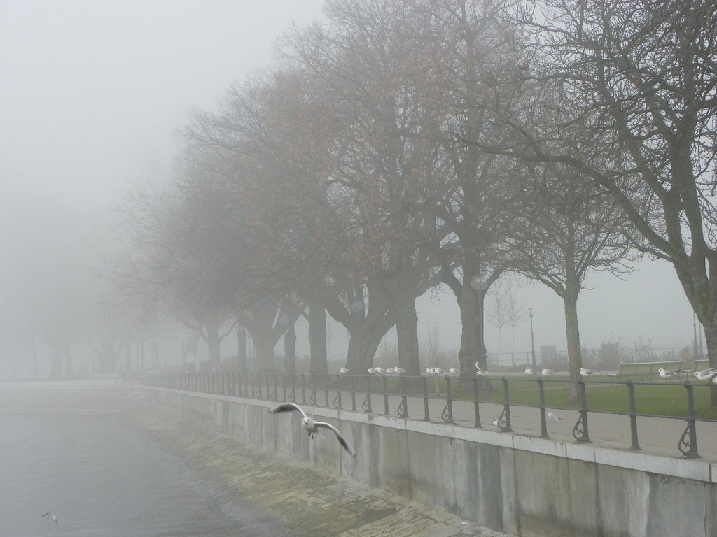 108_7718_jpg-1297897334