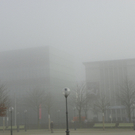 108_7725_jpg-1297897367