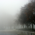 108_7721_jpg-1297897349