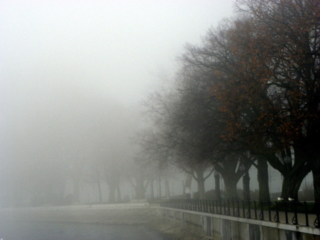 108_7721_jpg-1297897349