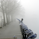 108_7722_jpg-1297897355