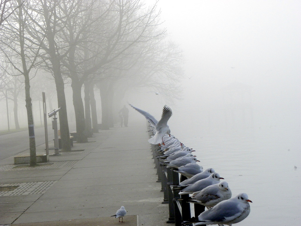 108_7722_jpg-1297897355