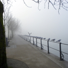 108_7724_jpg-1297897361