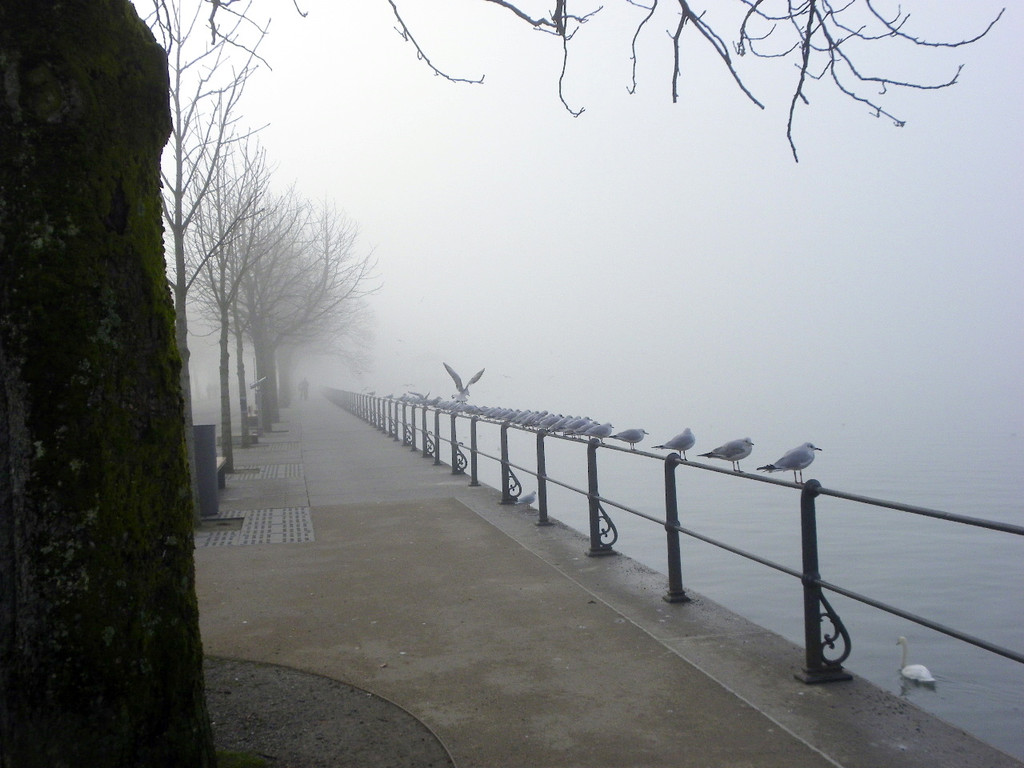 108_7724_jpg-1297897361