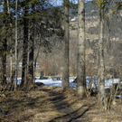 277_bearbeitet-1_jpg-1297958348
