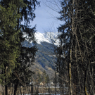 279_bearbeitet-1_jpg-1297958369