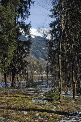 279_bearbeitet-1_jpg-1297958369