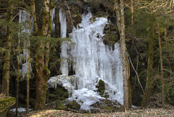 026_bearbeitet-1_jpg-1297958580
