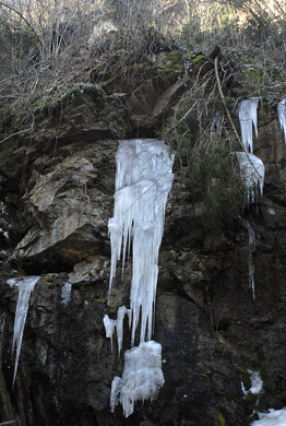 040_bearbeitet-1_jpg-1297958600