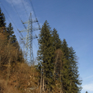 041_bearbeitet-1_jpg-1297958631