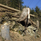 046_bearbeitet-1_jpg-1297958661