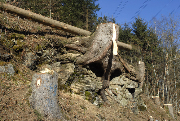 046_bearbeitet-1_jpg-1297958661
