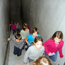 109_3557_jpg-1297959313