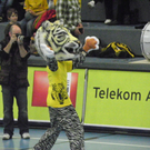 109_4001_jpg-1297963937