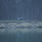 17022011mordgeklffaktivnews_65.jpg